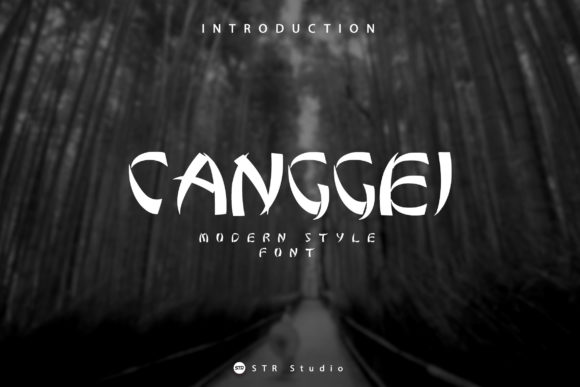 Canggei: The Modern Display Font That Elevates Any Design